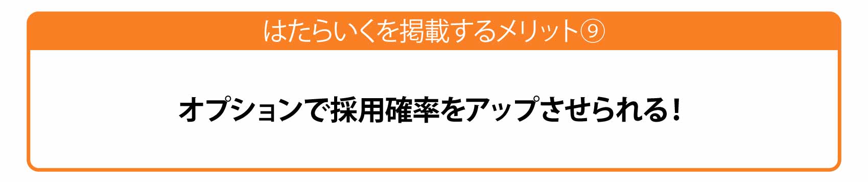 オプションで採用強化